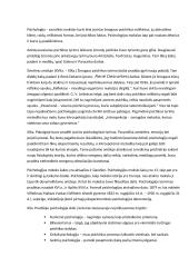 Kas yra psichologija (Referatas) 2 puslapis