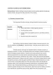 Išsamūs filosofijos pradmenys 2 puslapis