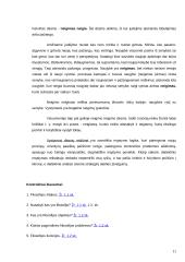 Išsamūs filosofijos pradmenys 11 puslapis