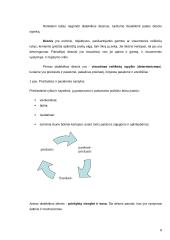 Išsamūs filosofijos pradmenys 8 puslapis