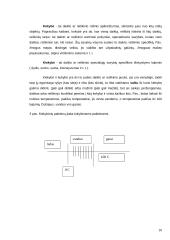Išsamūs filosofijos pradmenys 10 puslapis