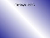 Nuolatinės elektros srovė ir jos šaltiniai 3 puslapis