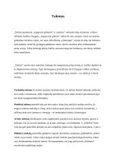 Vaiko gabumai ir talentai 4 puslapis