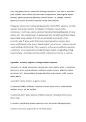 Vaiko gabumai ir talentai 6 puslapis