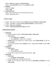 Filosofijos samprata teorija 2 puslapis