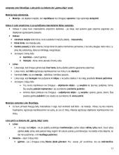 Filosofijos samprata teorija 12 puslapis