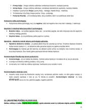 Filosofijos samprata teorija 19 puslapis