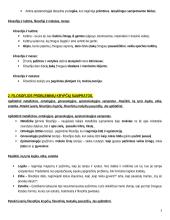 Filosofijos samprata teorija 3 puslapis