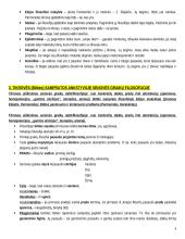 Filosofijos samprata teorija 4 puslapis