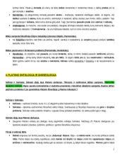 Filosofijos samprata teorija 5 puslapis