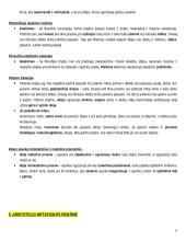 Filosofijos samprata teorija 6 puslapis