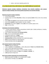 Filosofijos samprata teorija 8 puslapis