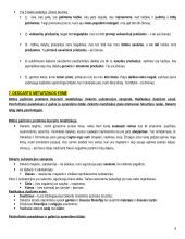 Filosofijos samprata teorija 9 puslapis