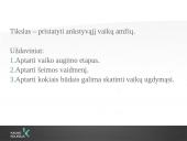 Ankstyvasis vaikų amžius 3 puslapis