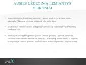 Ausies uždegimas 5 puslapis