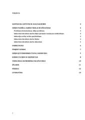 Inžinerijos projektinis darbas (šablonas) 2 puslapis