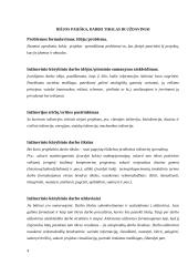 Inžinerijos projektinis darbas (šablonas) 4 puslapis