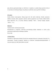 Inžinerijos projektinis darbas (šablonas) 6 puslapis