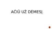 Vėjaraupiai (skaidrės) 11 puslapis