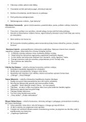 Filosofijos istorija - Renesansas 3 puslapis