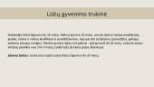 Liūtų etologija 3 puslapis