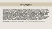 Liūtų etologija 6 puslapis
