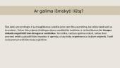 Liūtų etologija 7 puslapis