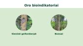 Gyvenamosios aplinkos įvertinimas, naudojantis bioindikatoriais 4 puslapis