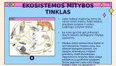 Ekosistema (skaidrės) 10 puslapis