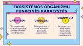 Ekosistema (skaidrės) 4 puslapis