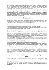 Filosofinės minties raida 17 puslapis