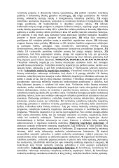 Finansų esmė 4 puslapis