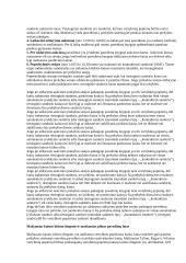 Finansai ir investicijos 6 puslapis