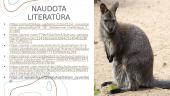 Australijos ir Ramiojo vandenyno kultūros sritis  13 puslapis