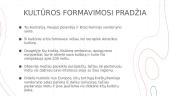 Australijos ir Ramiojo vandenyno kultūros sritis  3 puslapis