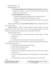 Finansinės investicijos 4 puslapis