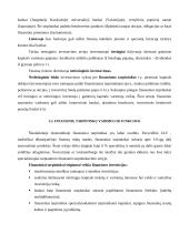 Finansinės investicijos 9 puslapis