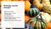 Daržovės (skaidrės) 3 puslapis