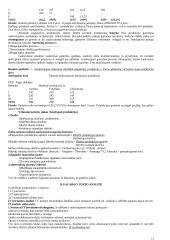 Finansų analizės procesas 13 puslapis