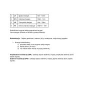 Bangos (fizikos konspektas) 2 puslapis