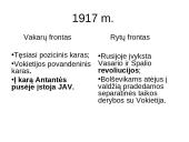 Pirmasis pasaulinis karas (skaidrės) 16 puslapis