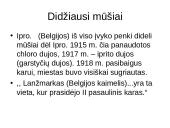 Pirmasis pasaulinis karas (skaidrės) 20 puslapis