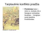 Pirmasis pasaulinis karas (skaidrės) 8 puslapis