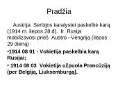 Pirmasis pasaulinis karas (skaidrės) 10 puslapis