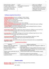 Fizika ir šiluma 2 puslapis