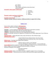 Fizika ir šiluma 3 puslapis