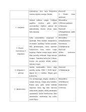 Psichiatrijos praktikos užduotis 4 puslapis