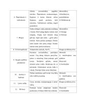 Psichiatrijos praktikos užduotis 5 puslapis