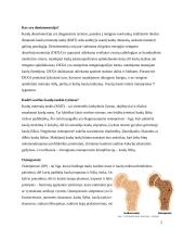 Denistometrija 4 puslapis