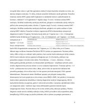 Denistometrija 7 puslapis